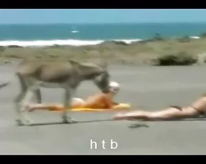 Roligt..4....ch. t. b.