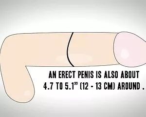 Liten dokumentär om penis stor penis