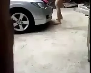 Thailändska utomhus