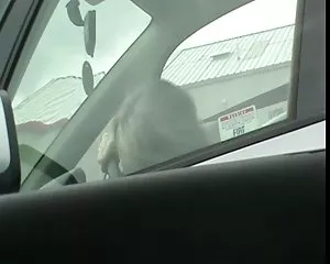 Wanking för gammal porr film gratis