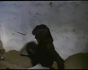 Sex comedy vintage tyska film lass kumpel 2